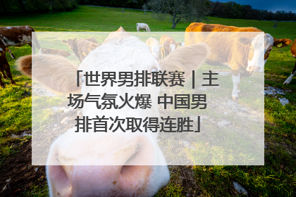 世界男排联赛｜主场气氛火爆 中国男排首次取得连胜