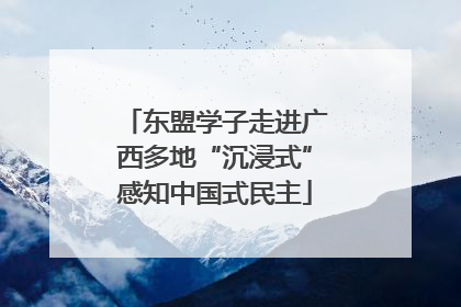 东盟学子走进广西多地“沉浸式”感知中国式民主