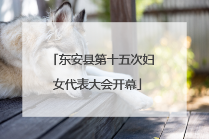 东安县第十五次妇女代表大会开幕