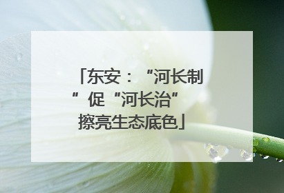 东安：“河长制”促“河长治” 擦亮生态底色