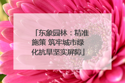 东象园林：精准施策 筑牢城市绿化抗旱坚实屏障