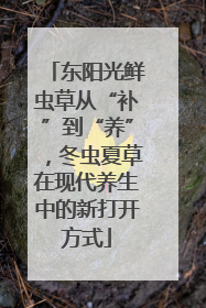 东阳光鲜虫草从“补”到“养”，冬虫夏草在现代养生中的新打开方式