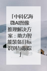 中科亿海微AI图像推理解决方案：助力智能装备目标识别与跟踪