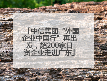 中信集团“外国企业中国行”再出发，超200家日资企业走进广东