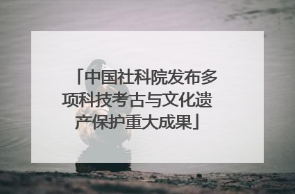 中国社科院发布多项科技考古与文化遗产保护重大成果