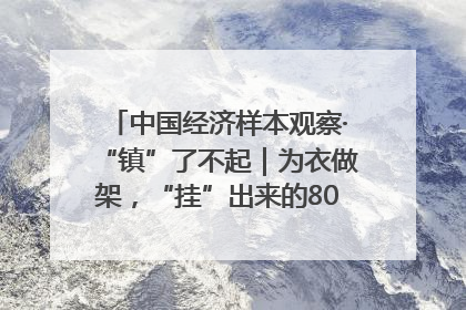 中国经济样本观察·“镇”了不起｜为衣做架，“挂”出来的80亿元“衣架产业”