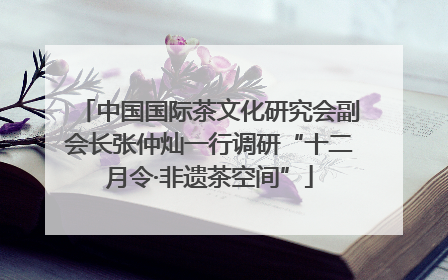 中国国际茶文化研究会副会长张仲灿一行调研“十二月令·非遗茶空间”