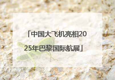 中国大飞机亮相2025年巴黎国际航展