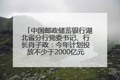 中国邮政储蓄银行湖北省分行党委书记、行长肖子政：今年计划投放不少于2000亿元支持支点建设