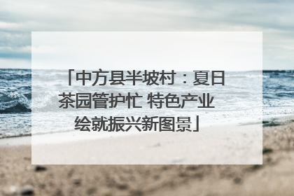 中方县半坡村：夏日茶园管护忙 特色产业绘就振兴新图景