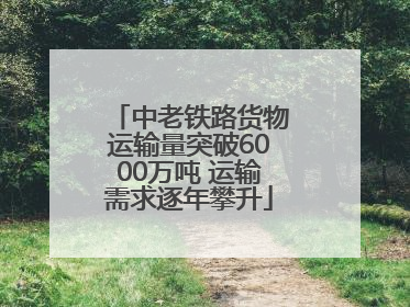 中老铁路货物运输量突破6000万吨 运输需求逐年攀升
