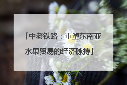 中老铁路：重塑东南亚水果贸易的经济脉搏