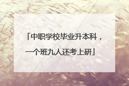 中职学校毕业升本科，一个班九人还考上研