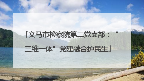 义马市检察院第二党支部：“三维一体”党建融合护民生