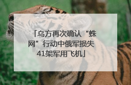 乌方再次确认“蛛网”行动中俄军损失41架军用飞机