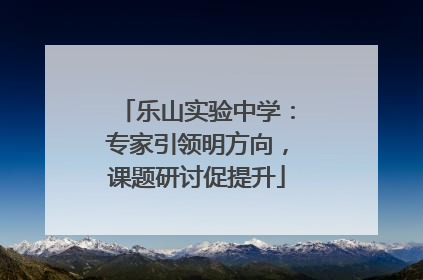 乐山实验中学：专家引领明方向，课题研讨促提升