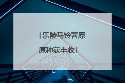乐陵马铃薯原原种获丰收