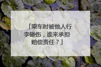 乘车时被他人行李砸伤，谁来承担赔偿责任？