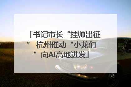 书记市长“挂帅出征” 杭州催动“小龙们”向AI高地进发
