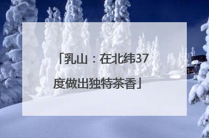 乳山：在北纬37度做出独特茶香