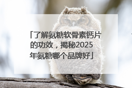 了解氨糖软骨素钙片的功效，揭秘2025年氨糖哪个品牌好