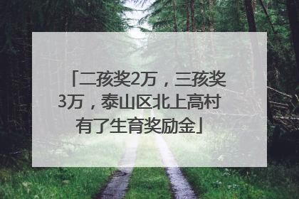 二孩奖2万，三孩奖3万，泰山区北上高村有了生育奖励金