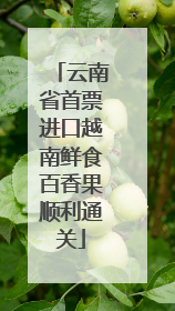 云南省首票进口越南鲜食百香果顺利通关