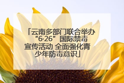 云南多部门联合举办“6·26”国际禁毒宣传活动 全面强化青少年防毒意识