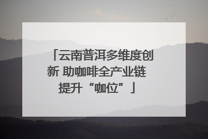 云南普洱多维度创新 助咖啡全产业链提升“咖位”