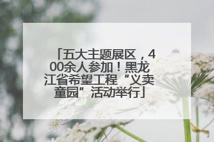 五大主题展区，400余人参加！黑龙江省希望工程“义卖童园”活动举行