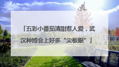 五彩小番茄清甜惹人爱，武汉种博会上好多“尖板眼”