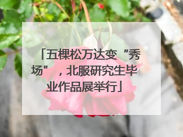 五棵松万达变“秀场”，北服研究生毕业作品展举行