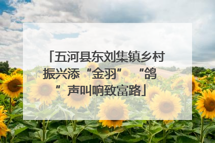 五河县东刘集镇乡村振兴添“金羽” “鸽”声叫响致富路