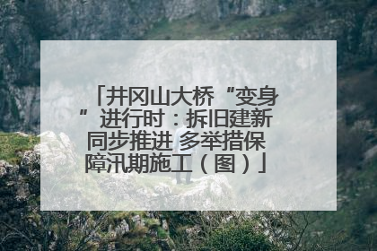 井冈山大桥“变身”进行时：拆旧建新同步推进 多举措保障汛期施工（图）
