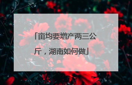 亩均要增产两三公斤，湖南如何做