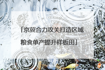 京冀合力攻关打造区域粮食单产提升样板田