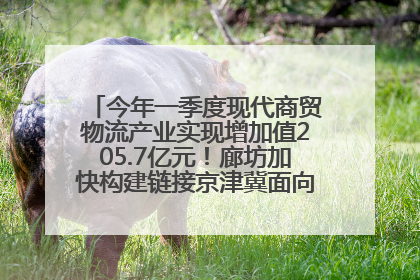 今年一季度现代商贸物流产业实现增加值205.7亿元！廊坊加快构建链接京津冀面向全世界的物流通道