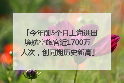 今年前5个月上海进出境航空旅客近1700万人次，创同期历史新高
