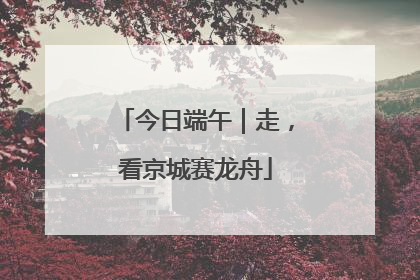 今日端午｜走，看京城赛龙舟