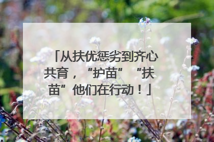 从扶优惩劣到齐心共育，“护苗”“扶苗”他们在行动！