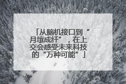 从脑机接口到“月壤成纤”，在上交会感受未来科技的“万种可能”