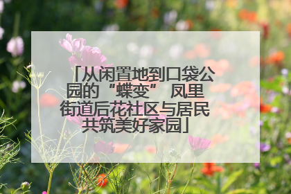 从闲置地到口袋公园的“蝶变” 凤里街道后花社区与居民共筑美好家园