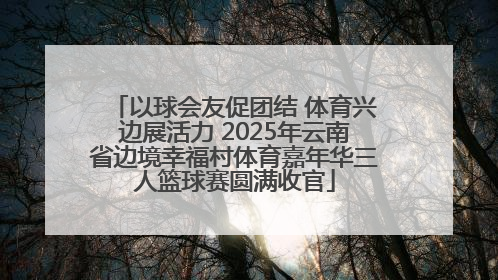以球会友促团结 体育兴边展活力 2025年云南省边境幸福村体育嘉年华三人篮球赛圆满收官