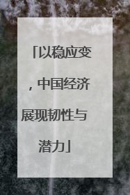 以稳应变，中国经济展现韧性与潜力