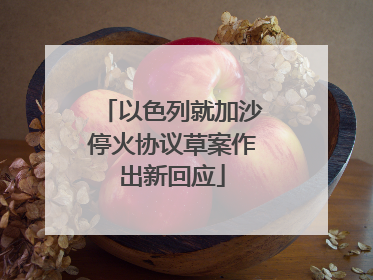 以色列就加沙停火协议草案作出新回应