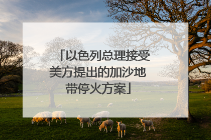 以色列总理接受美方提出的加沙地带停火方案