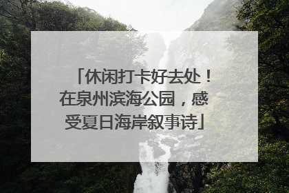休闲打卡好去处！在泉州滨海公园，感受夏日海岸叙事诗