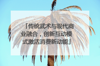 传统武术与现代商业融合，创新互动模式激活消费新动能