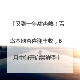 又到一年甜杏熟！青岛本地杏喜迎丰收，6月中旬开启尝鲜季