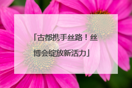 古都携手丝路！丝博会绽放新活力